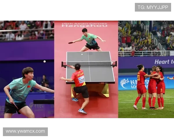 乒乓球运动的魅力与发展历程探析:从传统竞技到全球化潮流的崛起